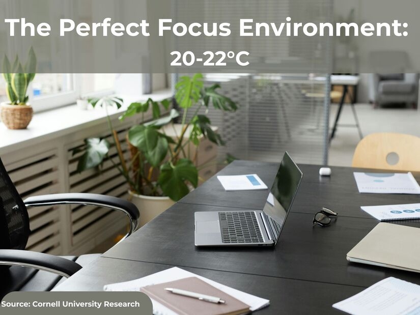 Comfortable modern workspace with natural light and plants showing optimal 20-22 degrees Celsius temperature for focus and productivity based on Cornell research
