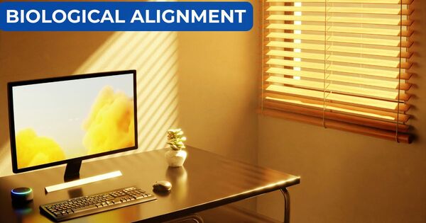 A minimalist sunlit workspace showing the biological alignment chart for a timed cleaning routine.