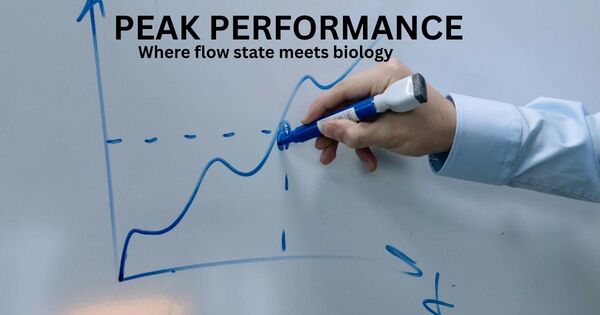 A person drawing an upward trend line on a whiteboard, representing the peak performance phase of the Ultradian rhythm protocol.