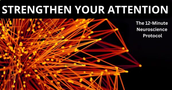 A conceptual representation of neural pathways, illustrating how a 12 minute timer helps strengthen attention and cognitive focus.