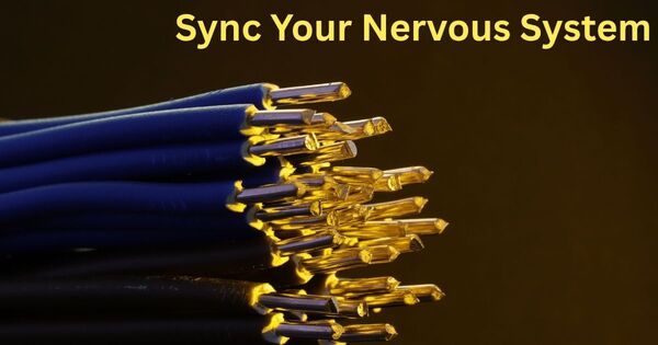 Abstract visualisation of neural connections representing the 6-minute timer protocol for syncing the nervous system during cognitive transitions
